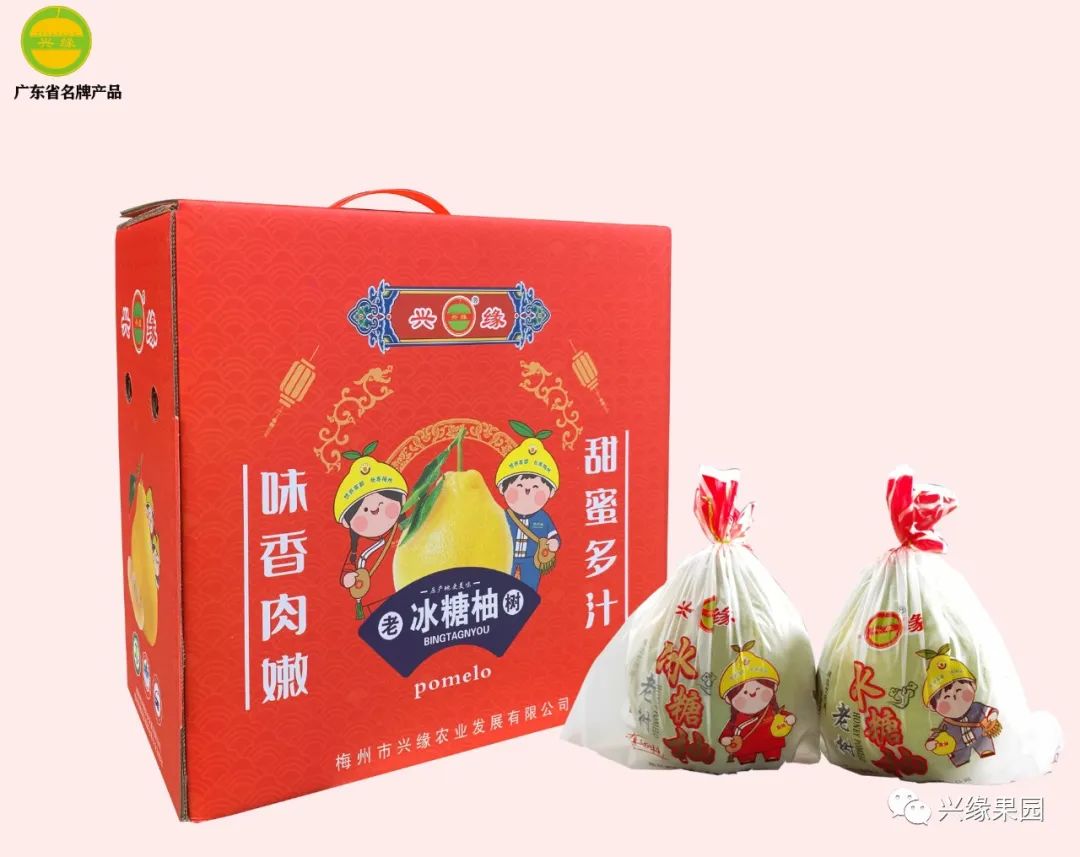 1738910882603821.jpg 2-3.jpg